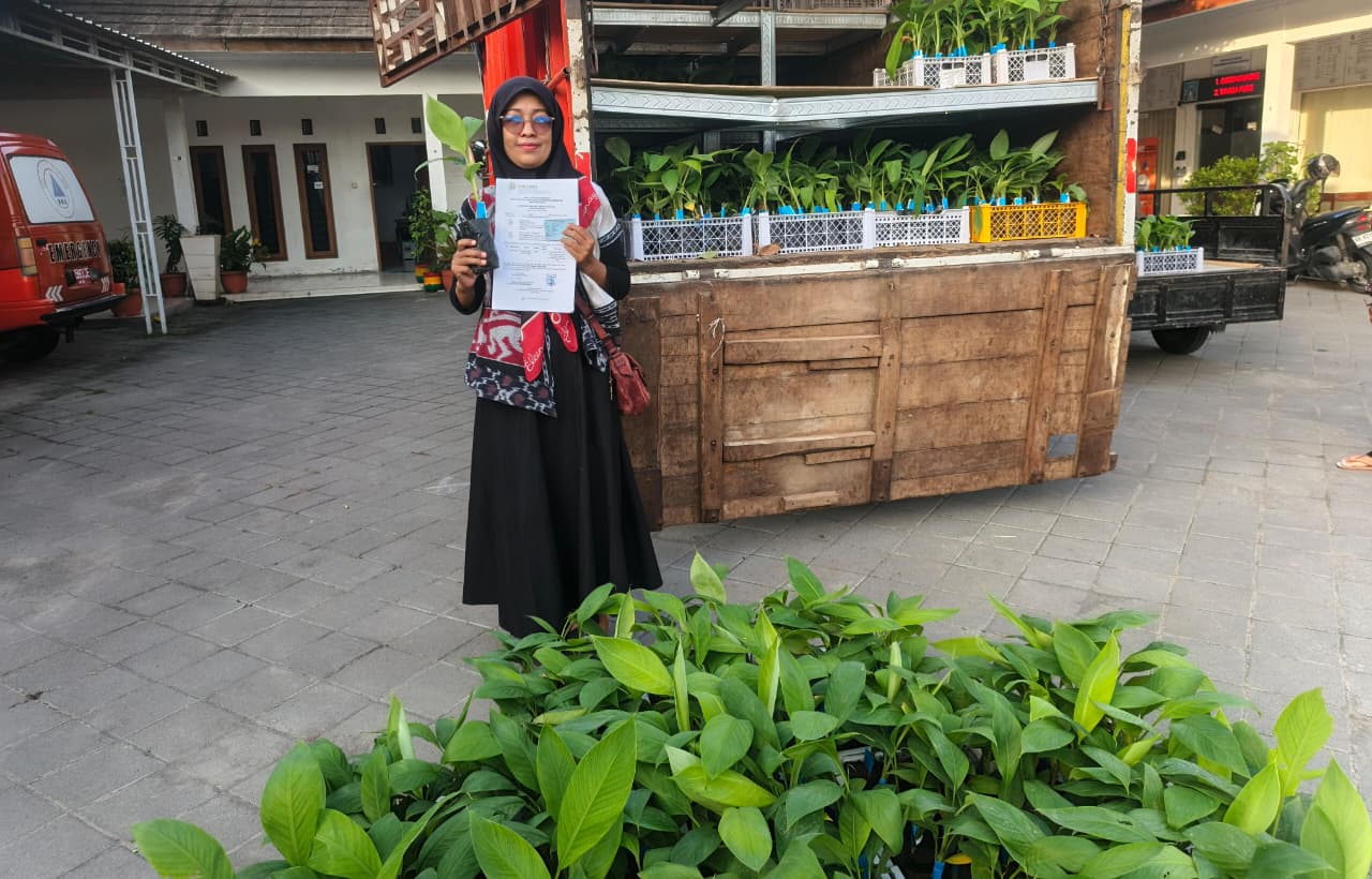 Bibit Pohon Pisang Program P2B untuk KWT Tiba Hari Ini